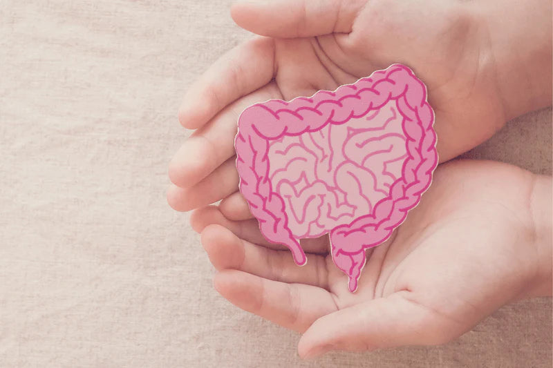 How Gut Health Impacts your Hormones, Fertility, Mood and Skin