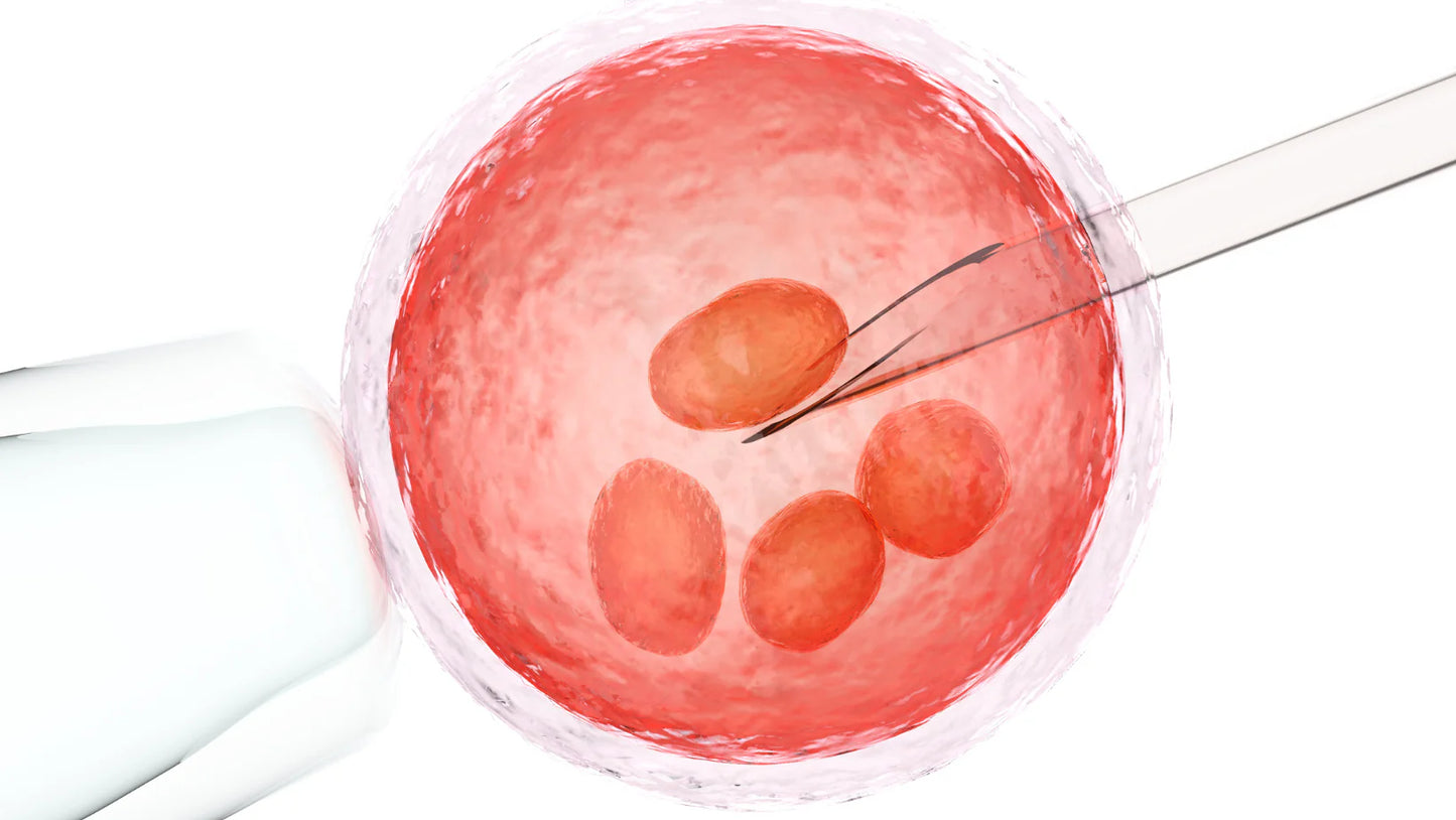 When IVF Feels Like the Only Option: Steps to Take Before Taking the Plunge