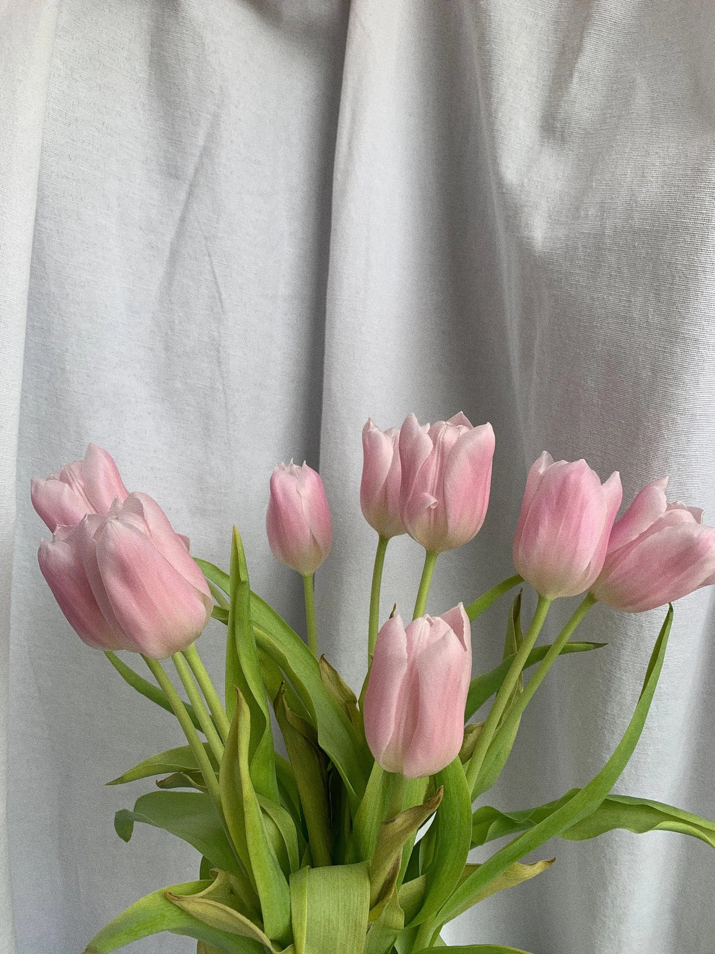 Are You Testing Progesterone on the Right Day? (Because It Really Matters)