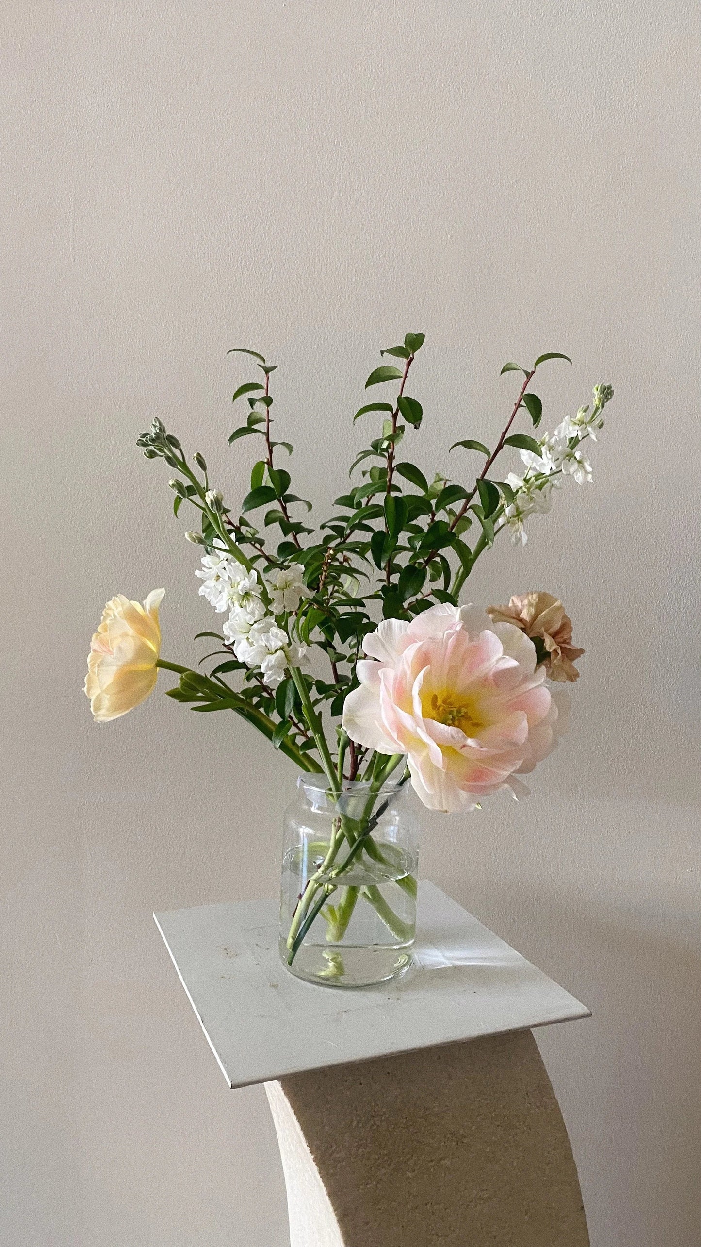 Unmetabolised Folic Acid: The Hidden Risk in Your Prenatal Vitamin