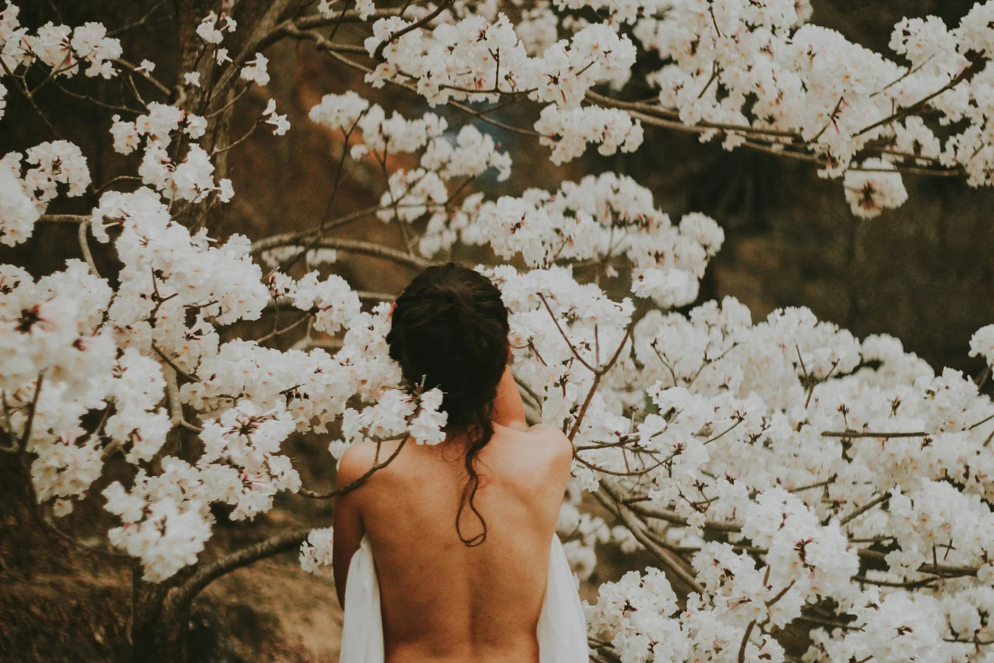 Gut Health and Autoimmune Disease: The Connection You Didn’t Know About